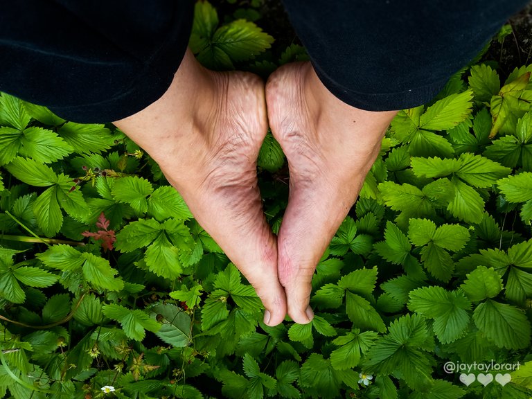 feet-strawbs.jpg