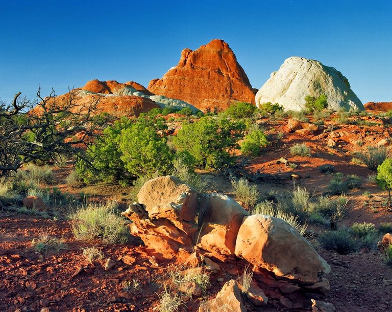 arches rocks 7x8.jpg