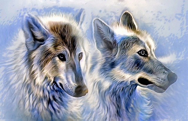 icewolf-as-canvas-1716638_640.jpg