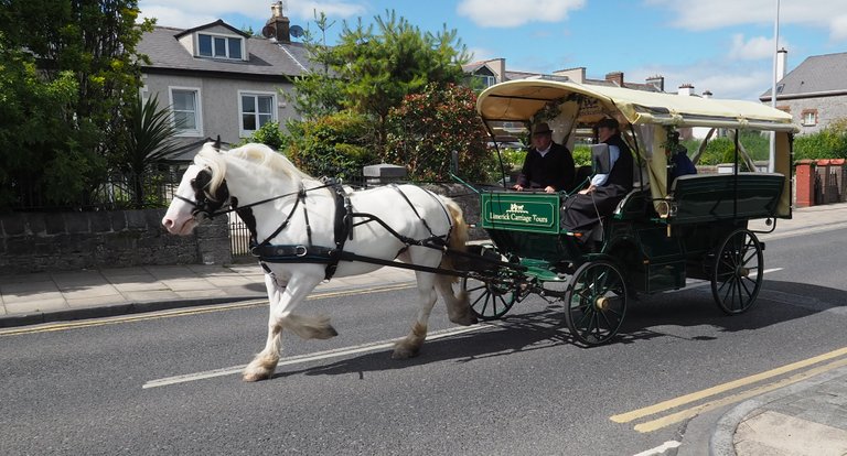 limerick-horse-carriage.jpg