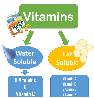 vitamins_fat_water_chart.png
