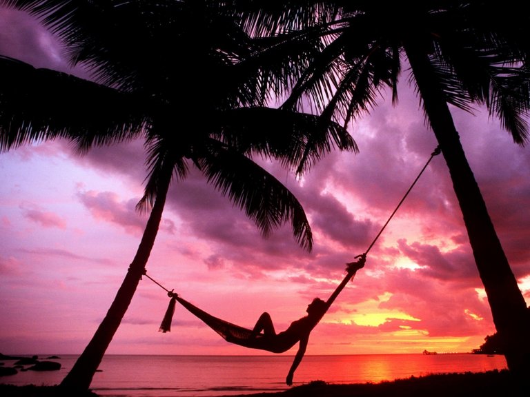 ws_Sunset_Beach_Hammock_Chillout_2560x1920.jpg