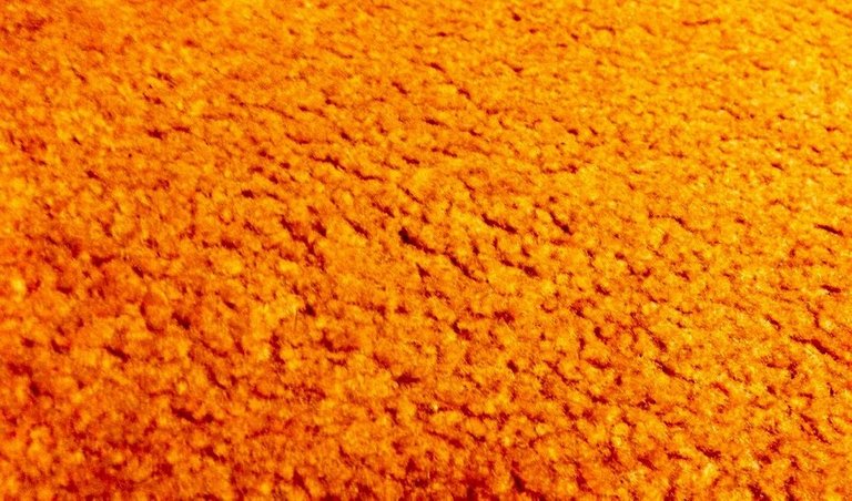 orangecarpet-highcontrast.jpg
