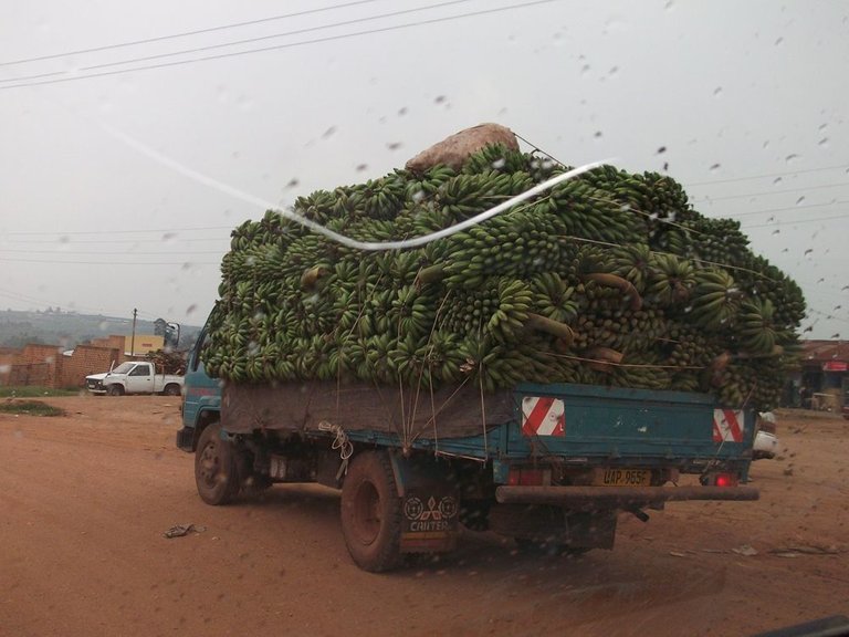 4 Truck load of bananas.jpg