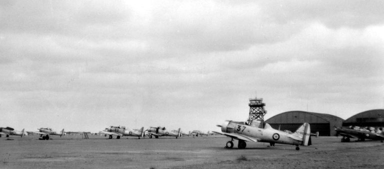 Les-T6-de-la-Base-de-Marrakech-en-1953.jpeg