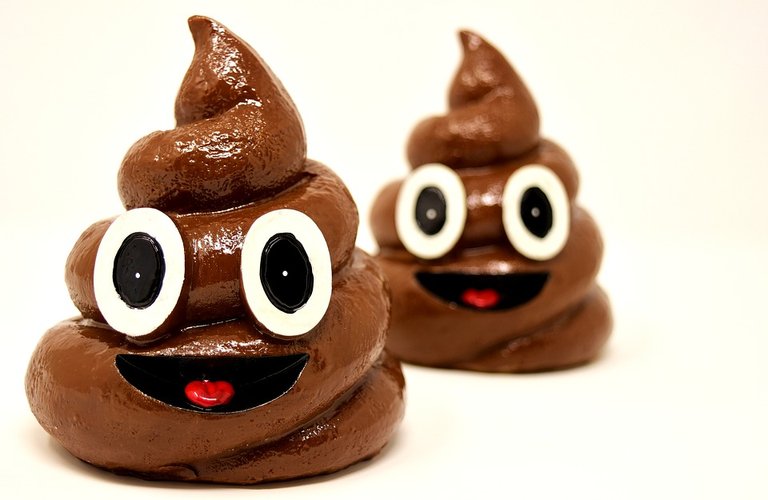 Kot-Poop-Shit-Ceramic-Pile-Funny-3101851.jpg