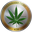cannabiscoin.png