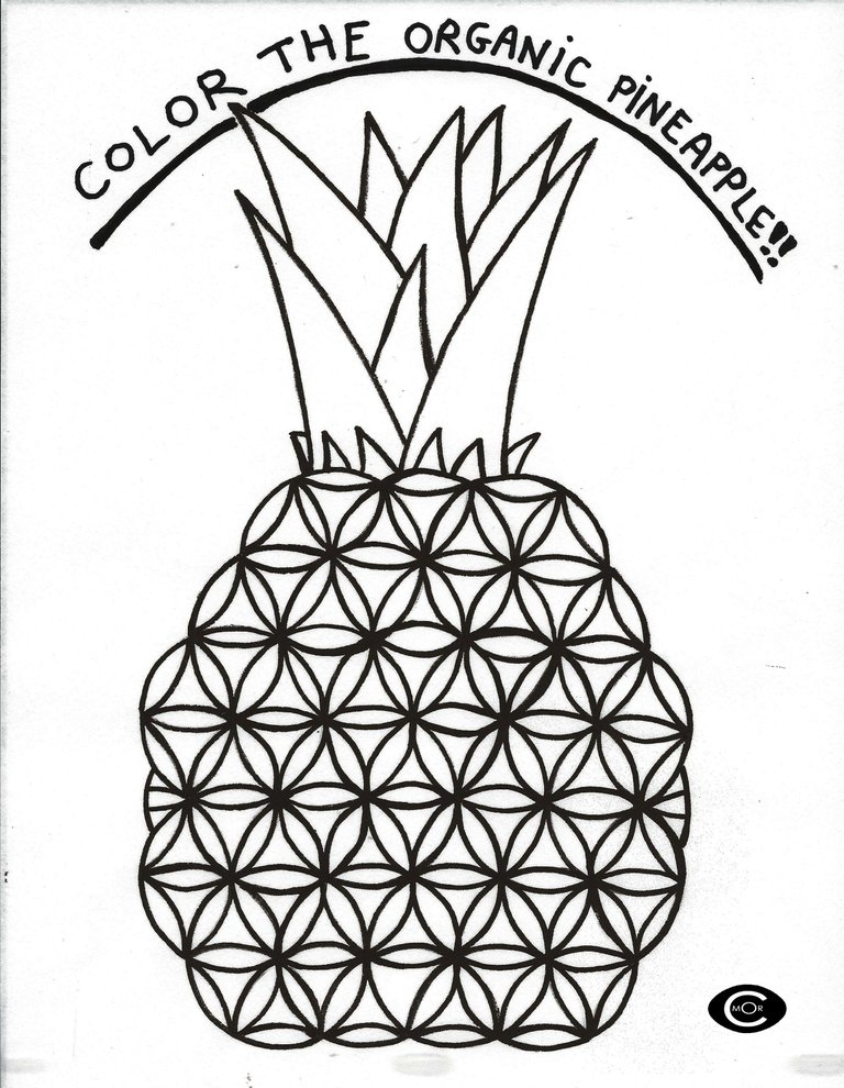 Sacred Pineapple....jpg