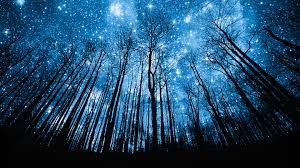 Blue_Galaxy_Forest.jpg