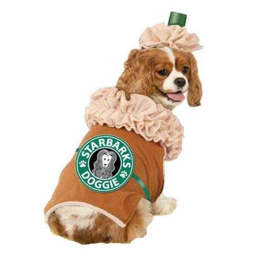 Dog Outfit 8.jpg
