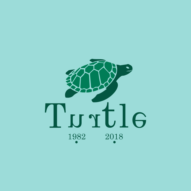 12logo tortuga.png