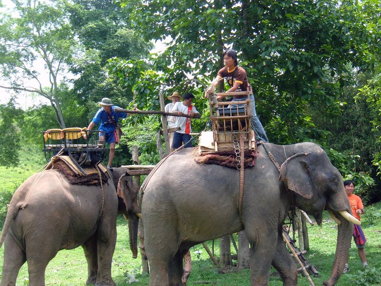 Elephant_ride_in_Chiang_Rai_Province_2007-05_16.jpg