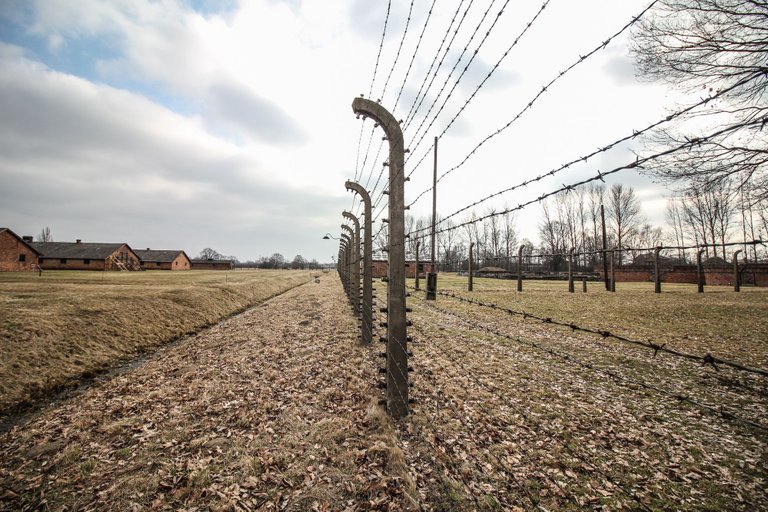 stacheldrahtzaun-auschwitz-2.jpg