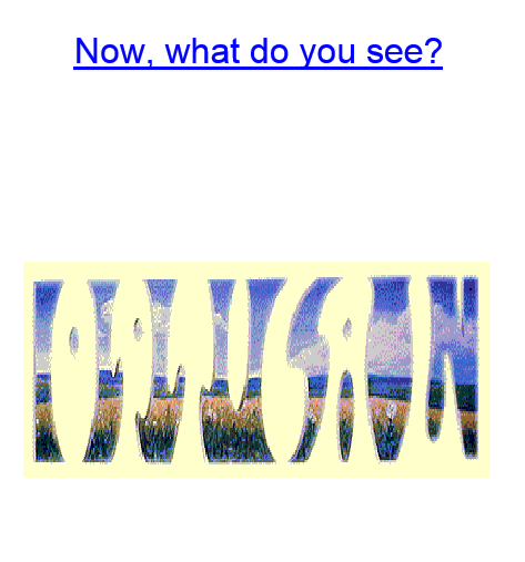 illussion or optical what do you see.png