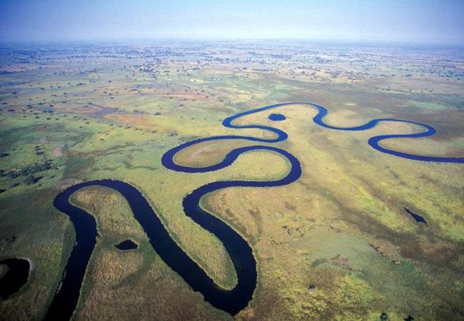 Okavango River.jpg