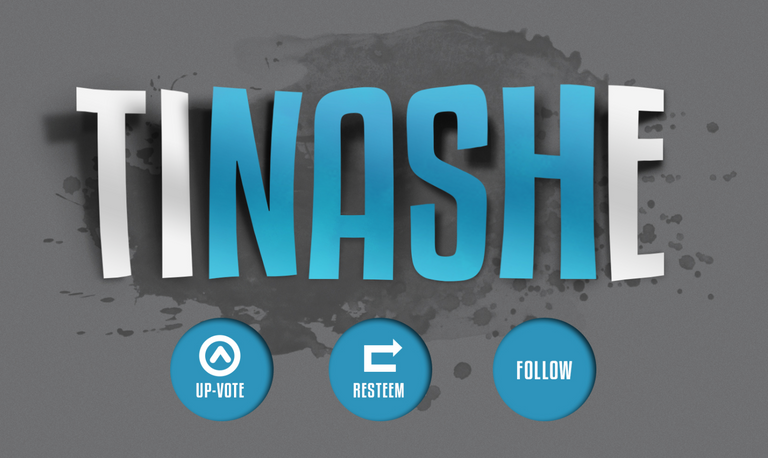 TINASHE LOGO.png