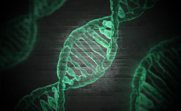 DNA helix.jpg