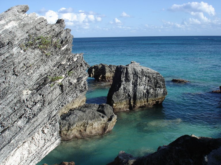 Bermuda 083.JPG