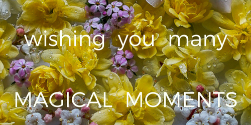 MAGICAL moments yellow blossom copy.png