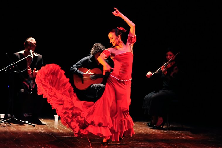 flamenco3.jpg