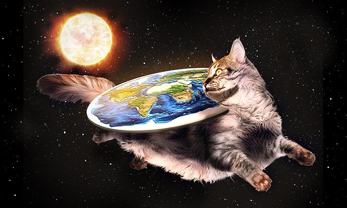 flat earth cat.jpg