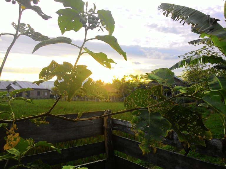 Sunset At Ie Alang Lamghui 2.jpg