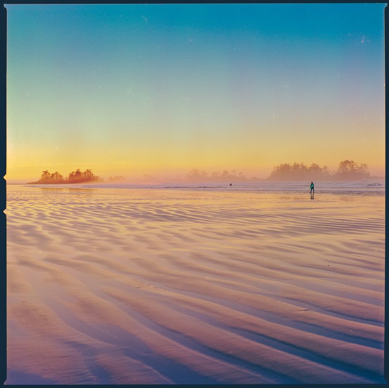 hasselblad_portra_tofino_surf-18.jpg