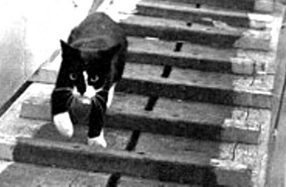 unsinkable-sam-570x373.jpg