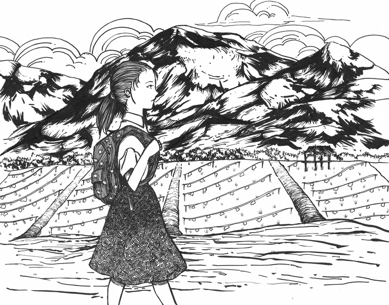 girl walking along paddy field3.png