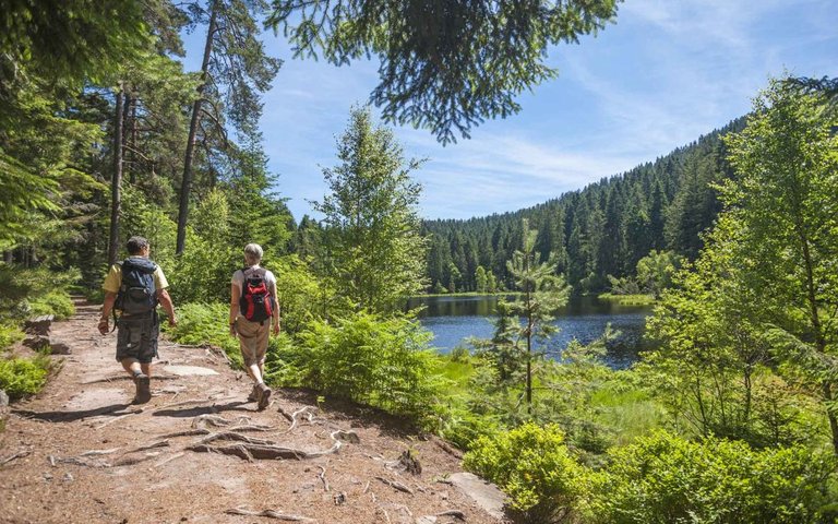 schwarzwald-panorama-hotel-herrenalb-wandern-1080x675.jpg