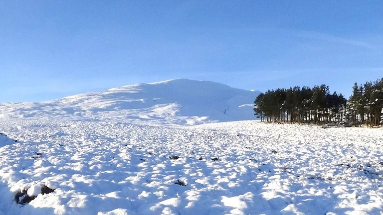 4 Looking up to Schiehallion at start of walk.jpg