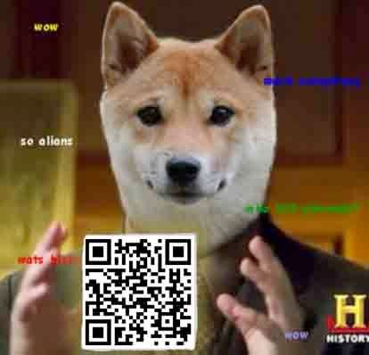 doge01.jpg