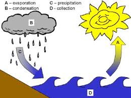 water cycle.jpg