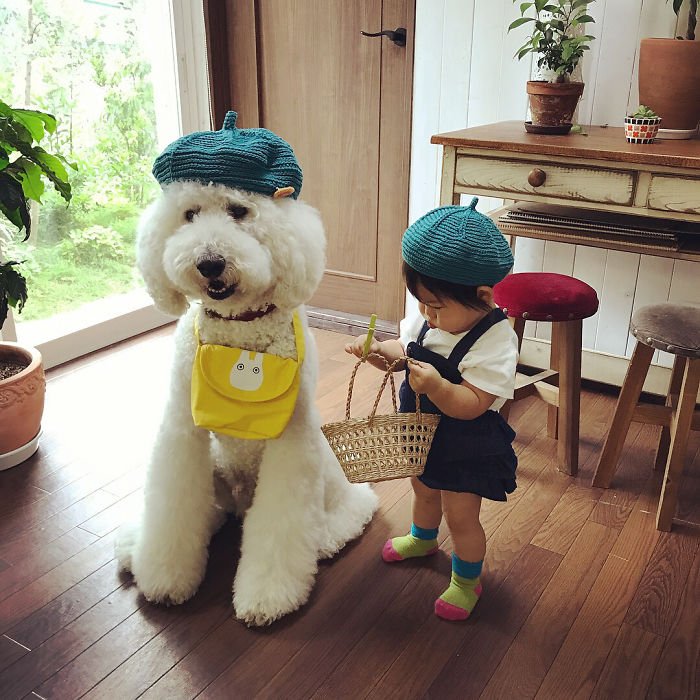 girl-poodle-dog-friendship-mame-riku-japan-29-59819e1e4c23e__700.jpg