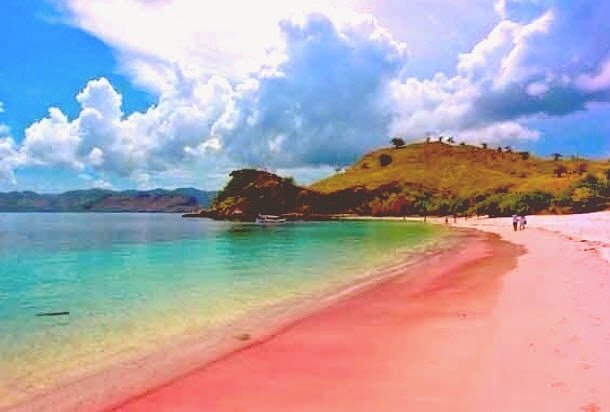 pink beach.jpg