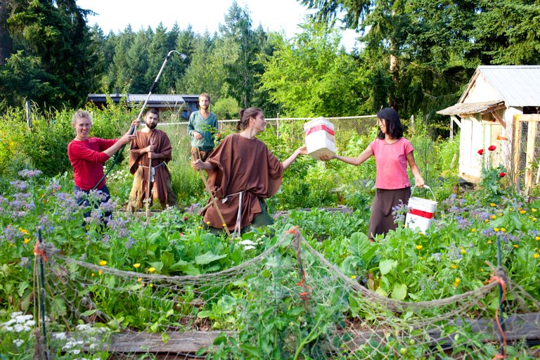 Permaculture Village.jpg