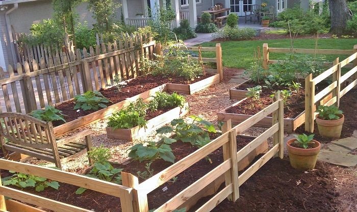 Raised-Beds-RYGblog1.jpg