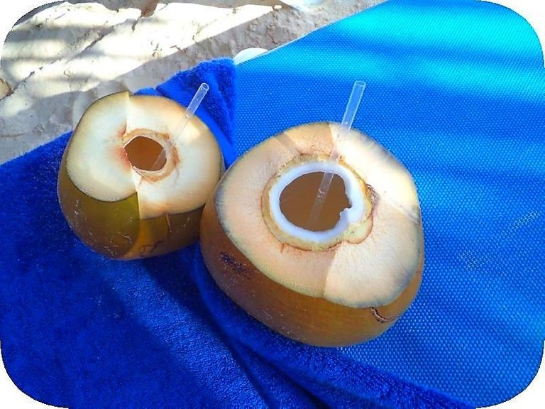 coco.JPG