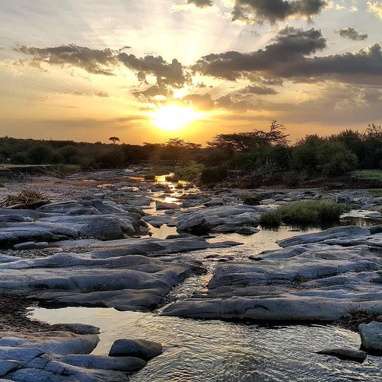 maasai mara 2-sunset.jpg