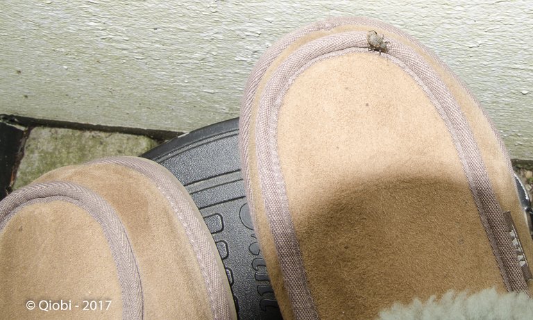 BlogPics (1 of 1)-3.jpg