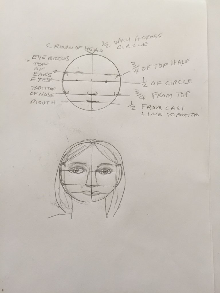 Drawing structure of face.JPG