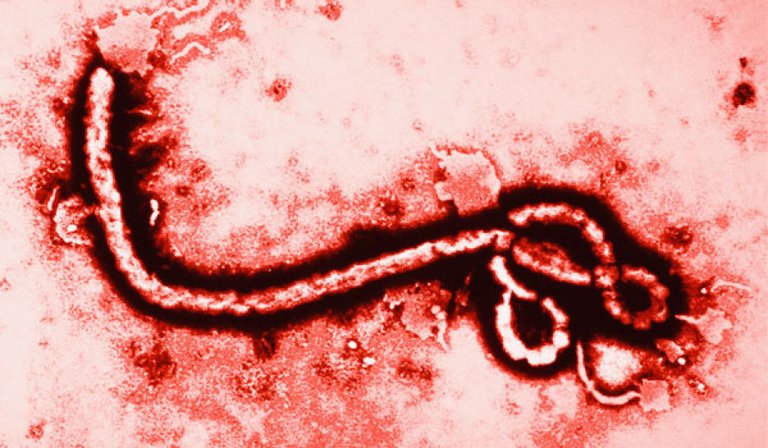 stuffyoushouldknow-podcasts-wp-content-uploads-sites-16-2014-08-ebola-600x350.jpg