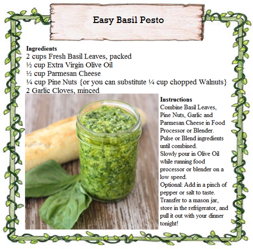 Easy Basil Pesto.png