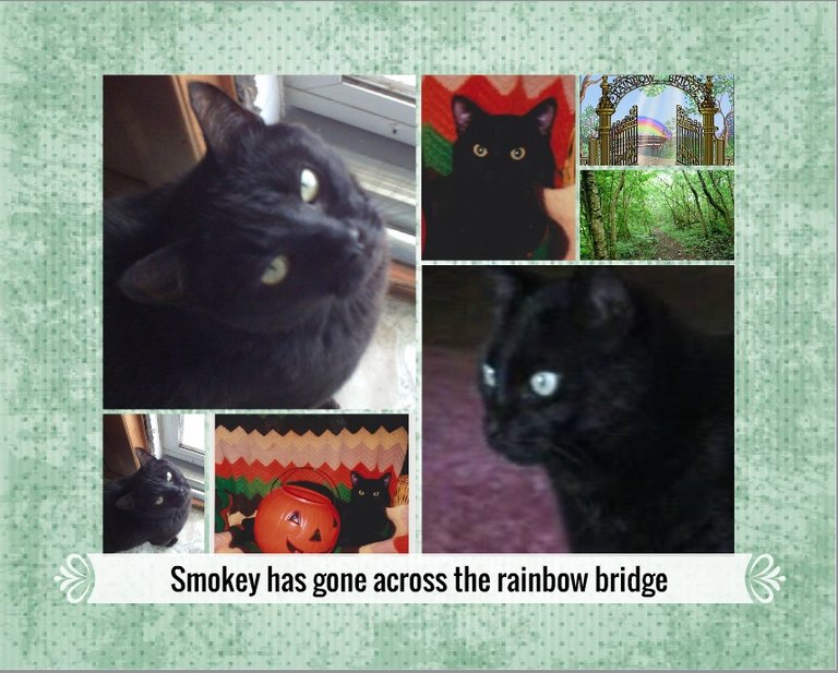 SmokeyMemorial.jpg