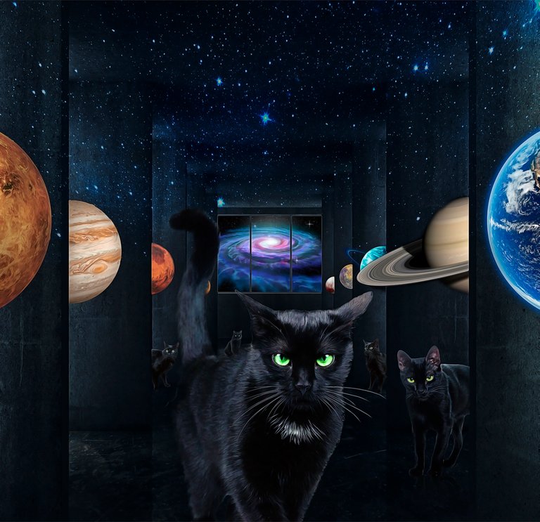 cats-space-insta.jpg