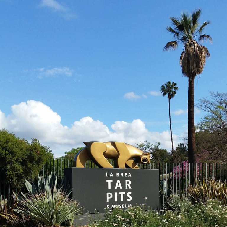 LA_Brea_Tar_Pits_and_Museum.jpg