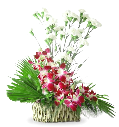 Bouquet Hibiscus Flowers Pink Petal (5).png