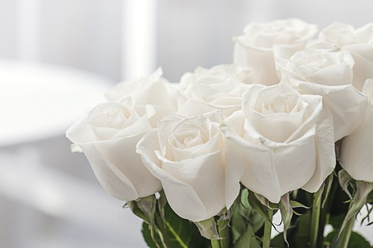 White-Roses.jpeg