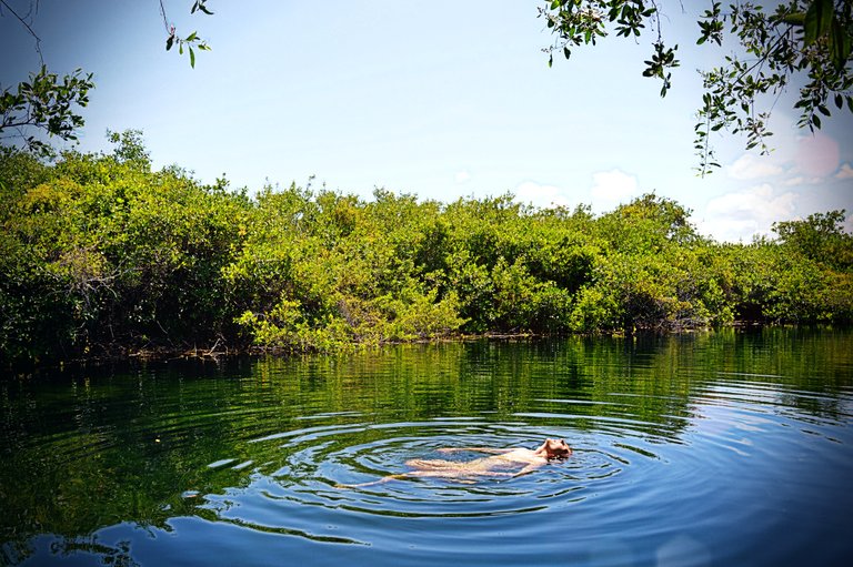 Tulum.jpg