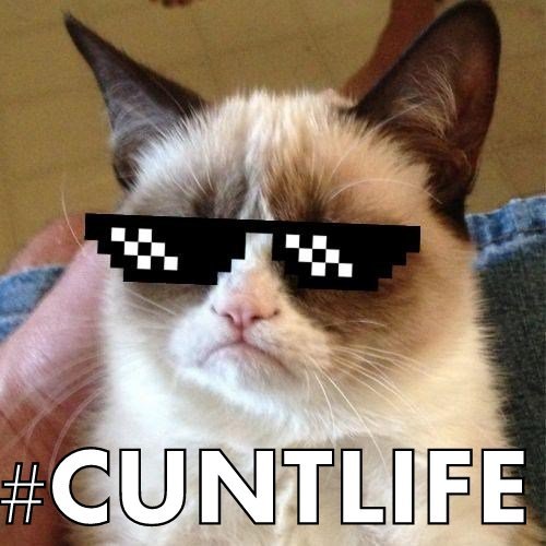 grumpy-cat-with-sunglasses.jpg